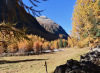 Piz Spinas 2898m; Herbst im Val Bever Piz Spinas 2898m; Herbst im Val Bever