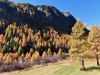 Herbst im Val Bever Herbst im Val Bever