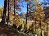 Piz Mezzaun (2963m und 3000m) Piz Mezzaun (2963m und 3000m)