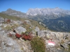 Tschingel 2540m, Schafberg 2727m, Salaeuelchopf 2841m,, Scheseplana 2964m