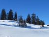 wunderbare Winterlandschaft bei Sellamatt