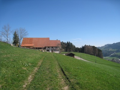 übers Feld  bei Blegi